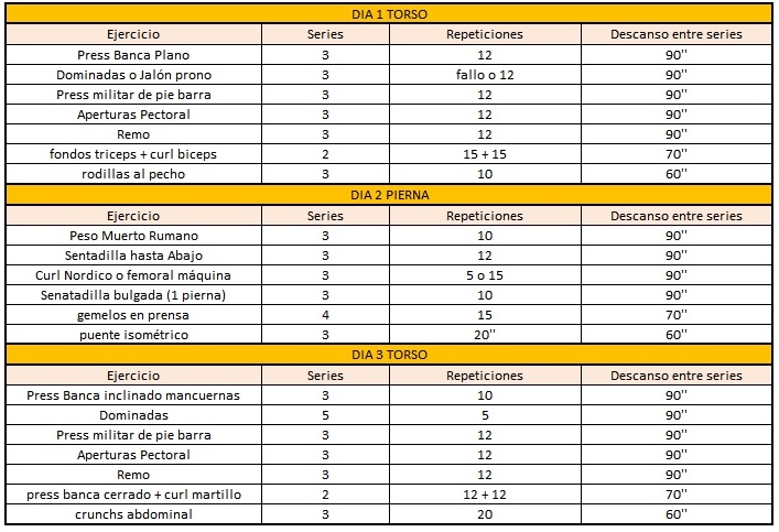 Gym 6 para hombres dias rutina de